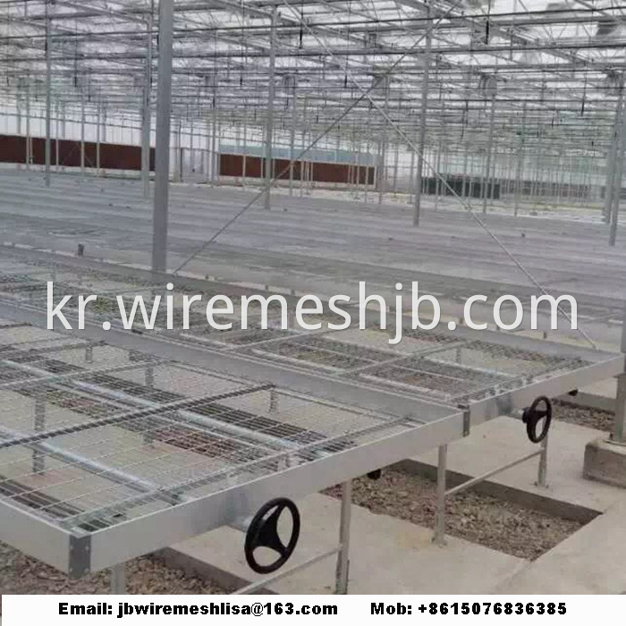 Galvanized Welded Wire Mesh Greenhouse Rolling Benches